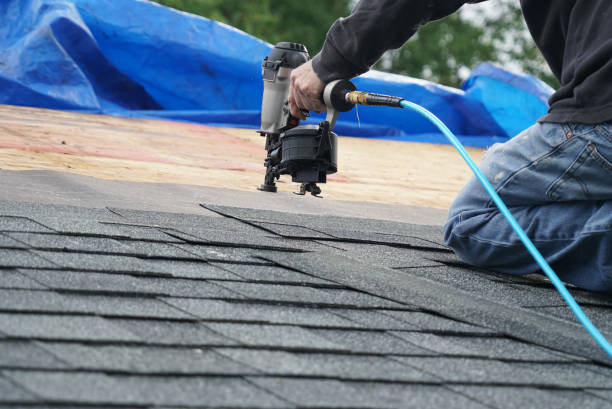 Roof Gutter Cleaning in Fifth Street, TX